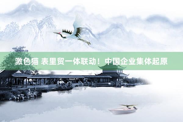 激色猫 表里贸一体联动！中国企业集体起原