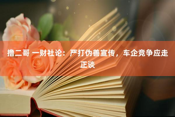 撸二哥 一财社论：严打伪善宣传，车企竞争应走正谈