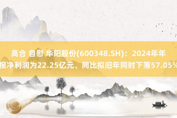 高合 自慰 华阳股份(600348.SH)：2024年年报净利润为22.25亿元、同比拟旧年同时下落57.05%